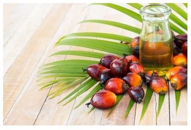 Palm Kernel Oils Edible Oil Supplier Malaysia Asian Food