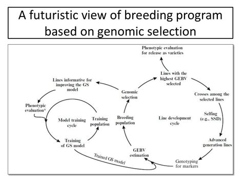 Genomic Selection