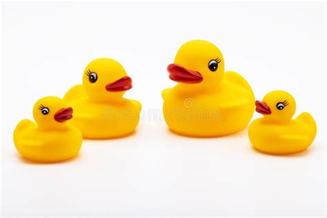 Patos De Goma Patos De Juguete Amarillos De Familia Sobre Fondo Blanco