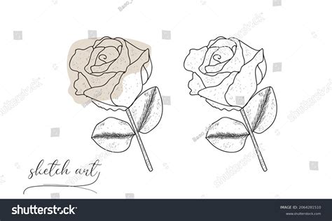 Hand Drawn Rose Sketch Vector Illustration Stock Vector (Royalty Free ...