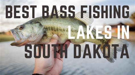 The Best Bass Fishing Lakes In South Dakota