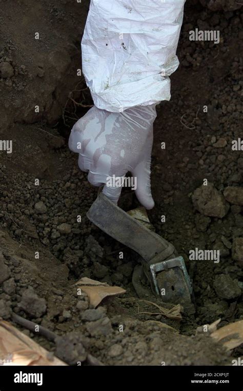 human remains police  res stock photography  images alamy