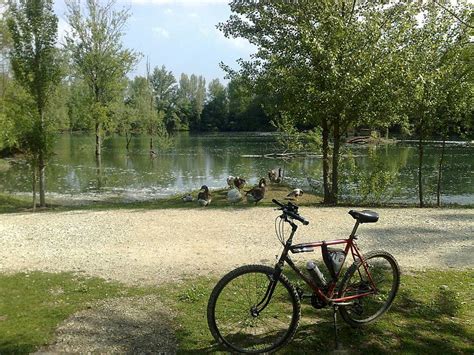 Visita Culturale Parco Dei Renai Parco Delle Cascine Eventi A Firenze