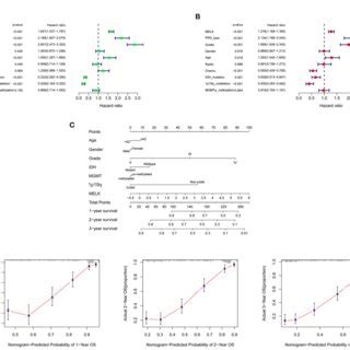 Figure Stratified Survival Analysis Of Melk Expression In Patients With