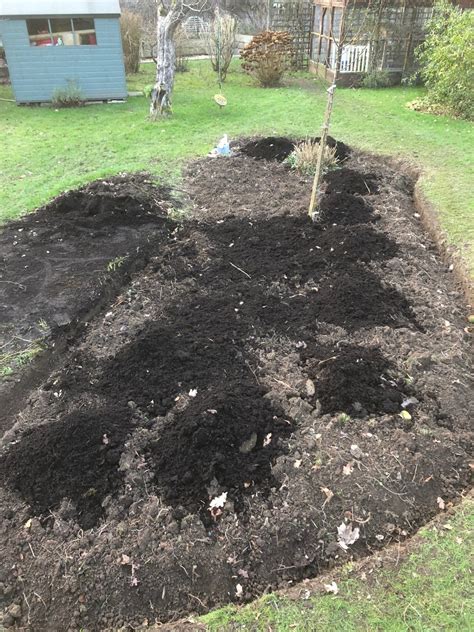 Langton Green Project - Figgys Garden Maintenance