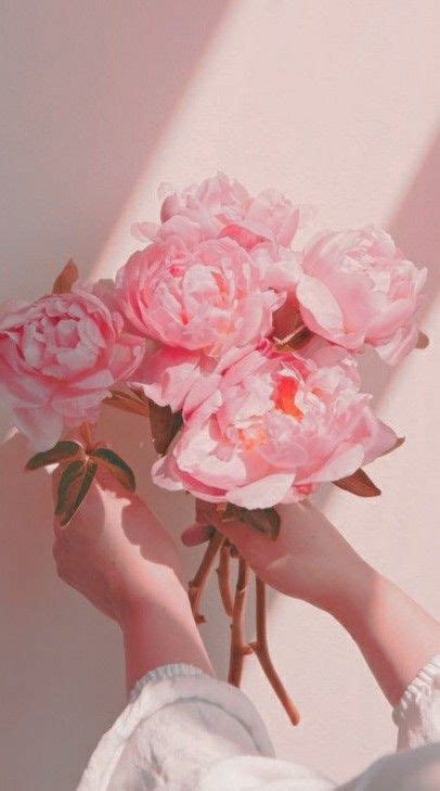 Pastel Pink Aesthetic Flower Aesthetic White Aesthetic Phone Wallpaper Pink Aesthetic Iphone