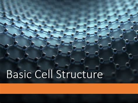 Basic Cell Structure | Teaching Resources