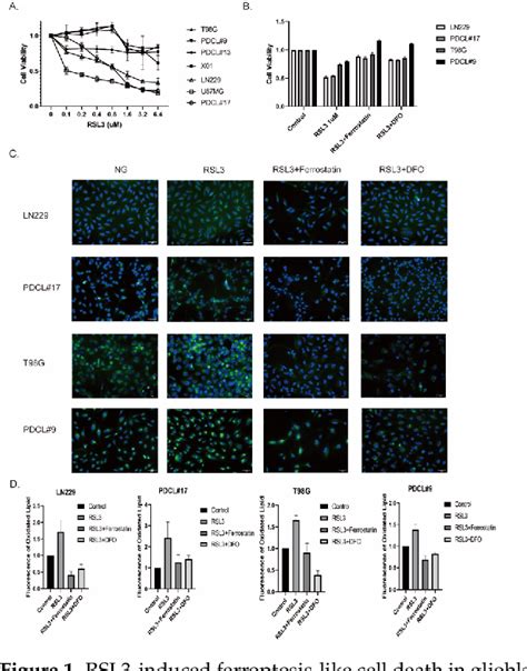 Figure 1 From Aldh1 Mediated Autophagy Sensitizes Glioblastoma Cells To