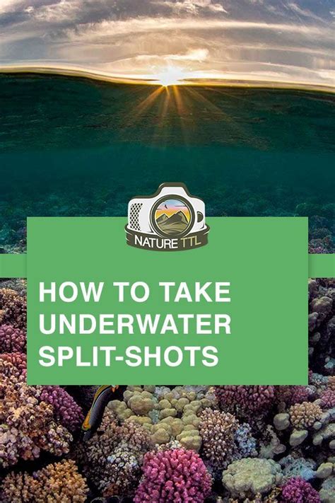 Learn How To Take Underwater Split Shots When Diving Over Under