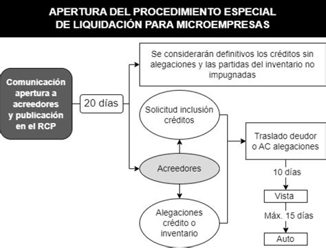 Esquema sobre la apertura del procedimiento especial de liquidación