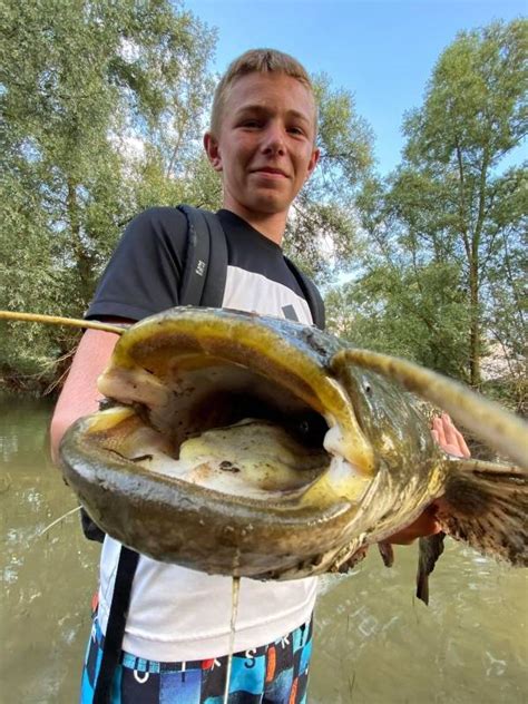 Initiation à la pêche des carnassiers dans les Hautes Pyrénées