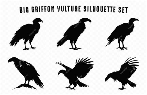 Premium Vector | Big griffon vulture silhouette vector bundle flying ...