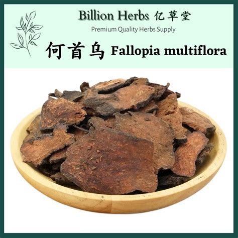 Yicaotang Billion Herbs Polygonum Multiflora 100g Fallopia Multiflora