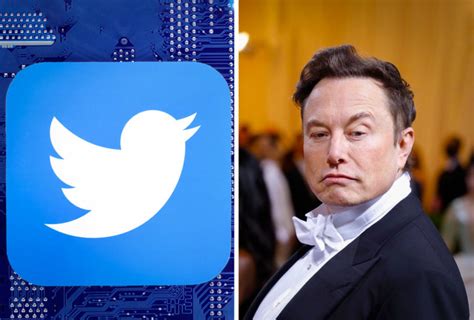 Adi S Al Pajarito Elon Musk Cambiar Logo De Twitter Por Una X