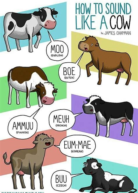 What Sound Does A Dog Make In Different Languages