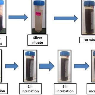 Formation Of Silver Nanoparticles After Adding Aqueous Leaf Extract Of