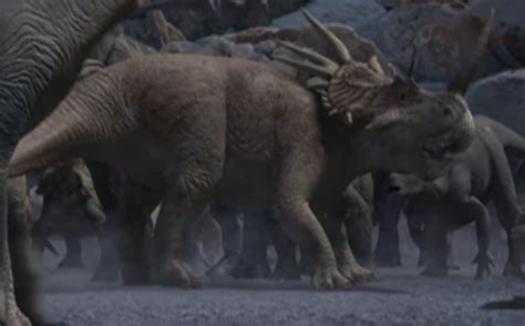 Styracosaurus Australi Fiction Taxonomy Wiki Fandom