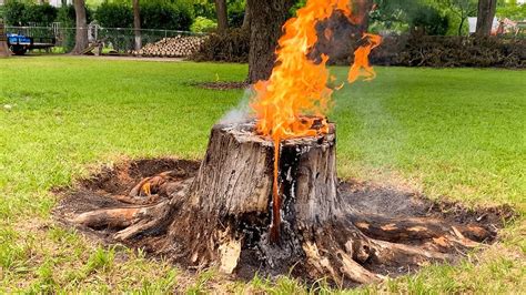 Easy Stump Removal Amazing Way To Remove A Tree Stump Complete