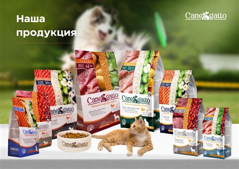 Корма для животных Canegatto | prezentacia.ru