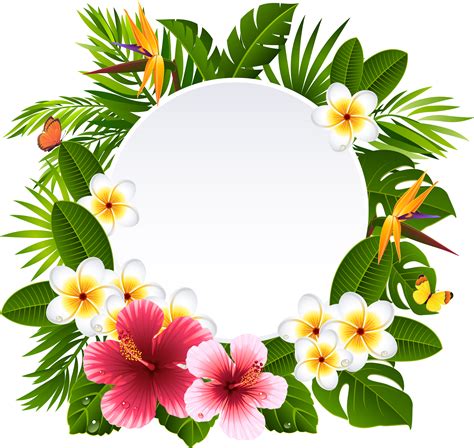 Download HD Tropical Frame Cliparts - Tropical Flower Frame Png ...