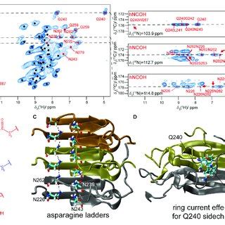 Overview of asparagine and glutamine side-chain spectral and relaxation... | Download Scientific ...