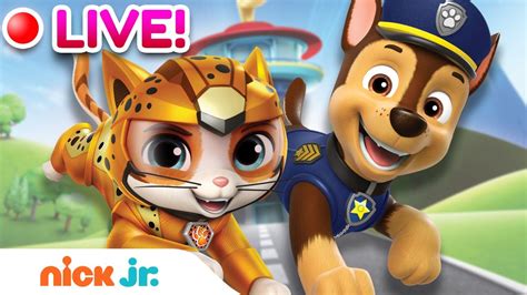 Paw Patrol And Cat Pack Teamwork Episodes And Rescues W Rubble Rory Skye And More Nick Jr