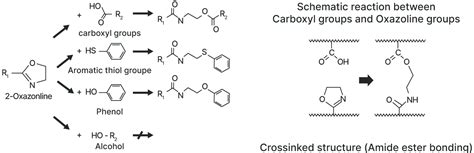 Oxazoline Group Containing Polymer Epocros™ Products Nippon Shokubai