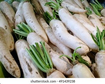 16 Cv Group Chinese Radish Images Stock Photos Vectors Shutterstock