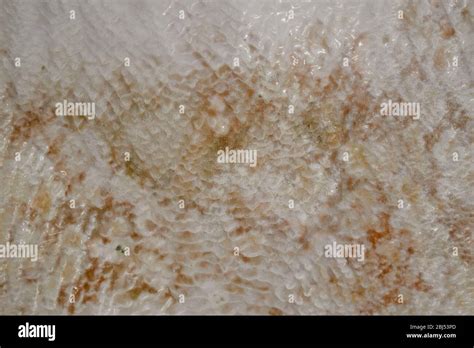 Natural pools at Pamukkale, close up Stock Photo - Alamy