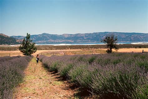 Lake Salda Travel Story By Seda Tekemen Shoot It With Film