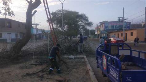 Municipalidad Realiza Trabajos De Poda En Avenida Buenos Aires