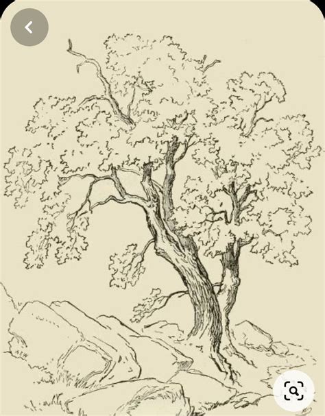 Landscape Sketch Landscape Drawings Landscape Art Nature Sketch Nature Drawing Pencil