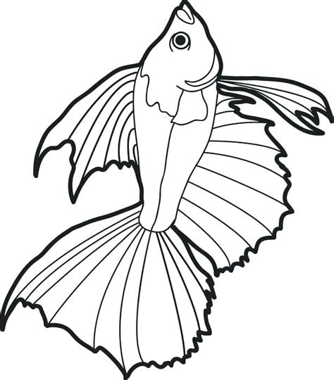 Realistic Fish Coloring Pages at GetColorings.com | Free printable colorings pages to print and ...