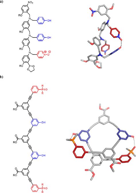 Oligomer Architectures Where Folding Occurs A The Dda Mer Of