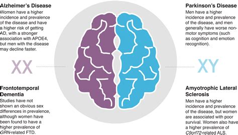 Do Microglial Sex Differences Contribute To Sex Differences In Neurodegenerative Diseases PMC