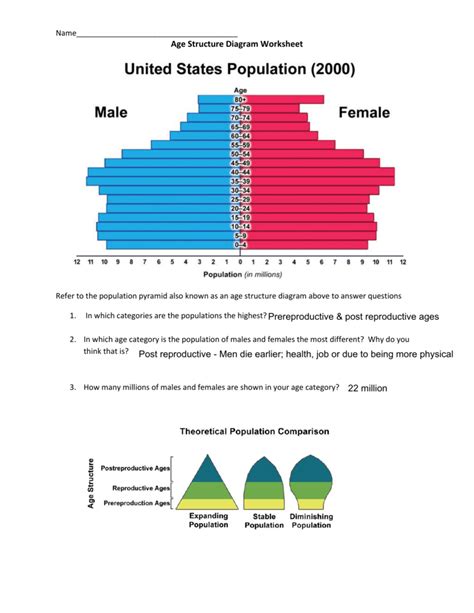 Age Structure Diagram Types