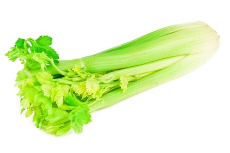 Fresh Celery Stems Stock Image Image Of Color Backgrounds 74056121