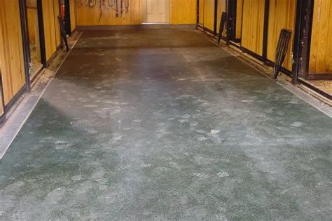 Best Flooring For A Horse Stall | Latest Ideas 2023