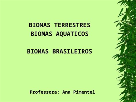 Ppt Biomas Terrestres Biomas Aquaticos Biomas Brasileiros Professora