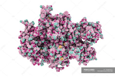 Digital illustration of coagulation factor protein. — embolism, amino acid - Stock Photo ...