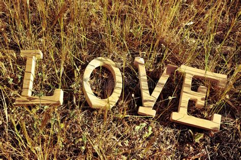 Las Letras De Madera Que Forman La Palabra Aman En La Hierba Foto De