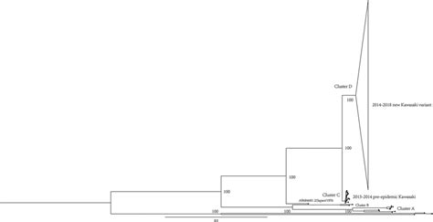 Root To Tip Regression Of A Maximum Likelihood Ml Phylogenetic Tree Download Scientific