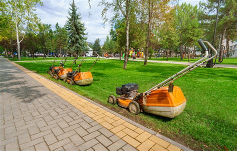 Gartenplatten Bilder Durchsuchen Archivfotos Vektorgrafiken