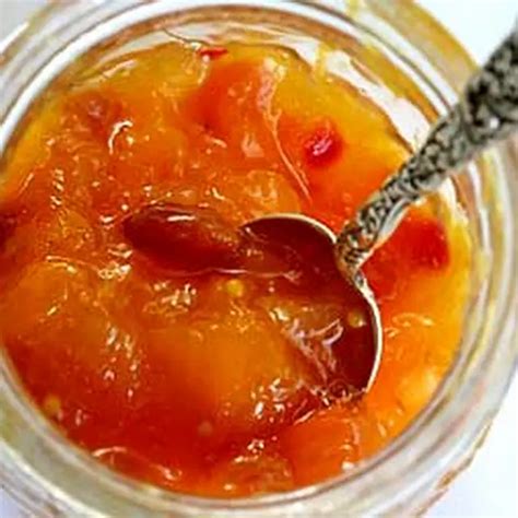 Mango Chutney Recipe Nipodalaska