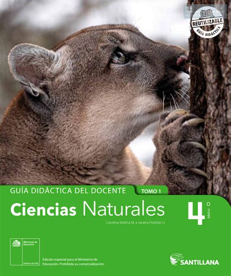 Cuadernillo De Ejercicios Ciencias Naturales Basico Resuelto En Pdf