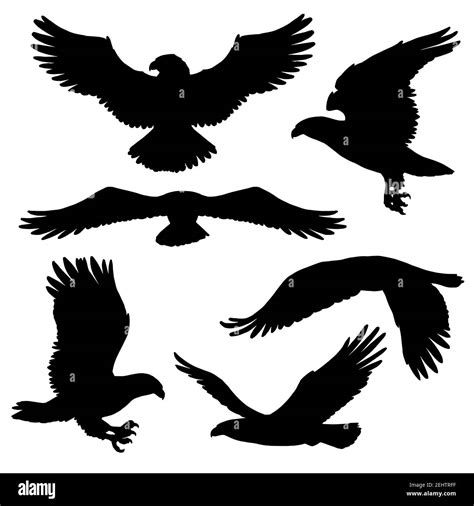 Flying Eagle Falcon And Hawk Black Silhouette Bird Icons Vector Bird