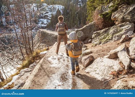 Familia En Parque Nacional De Las Monta As Rocosas En Los E E U U