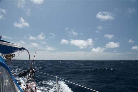 Into the tradewinds - SV Wasa