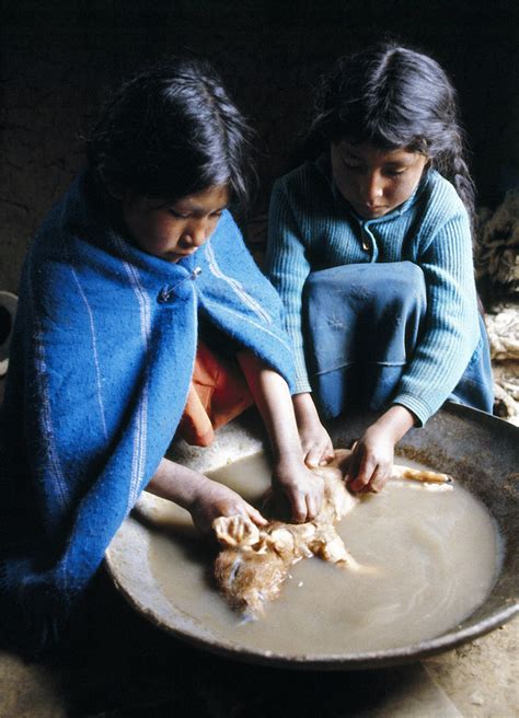 Child Labor In Bolivia Most Nations Have Laws That Prohibi Flickr