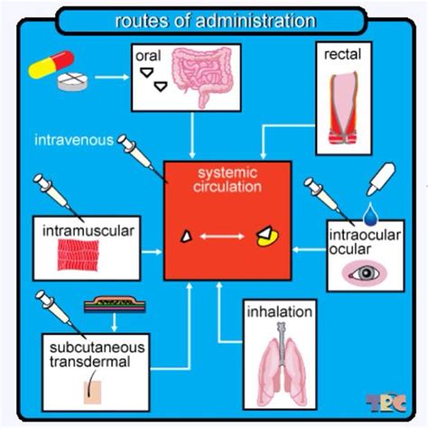 Which Of The Following Is A Parenteral Route Of Administration